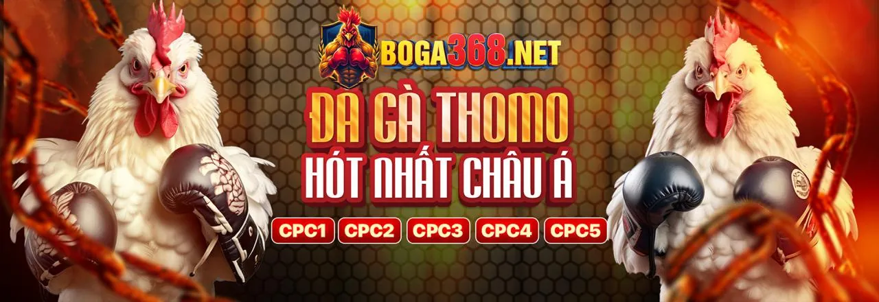 Tốc độ và Hiệu suất vượt trội của ứng dụng 123bet